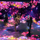 Juegos románticos interiores olográficos del proyector 16 de Immersive de la pared interactiva de AR