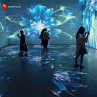 Patio virtual interactivo del sistema de proyección del piso del mar de la flor